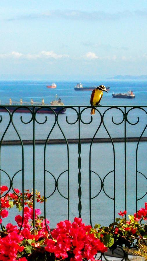 Pousada Do Pilar Salvador da Bahia Dış mekan fotoğraf