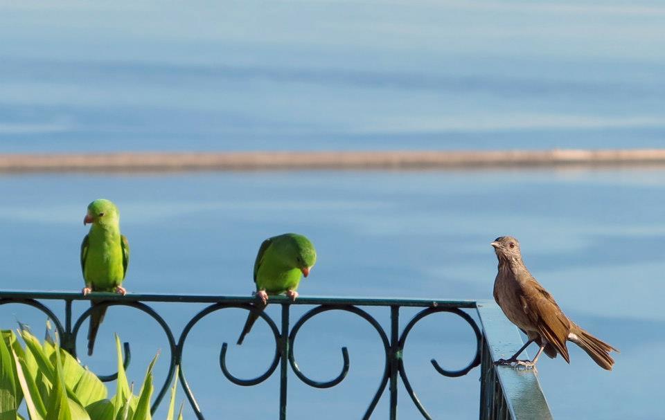 Pousada Do Pilar Salvador da Bahia Dış mekan fotoğraf